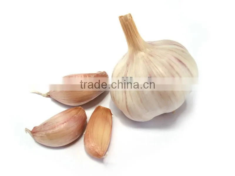 Garlic bulb Separating Splitting machine