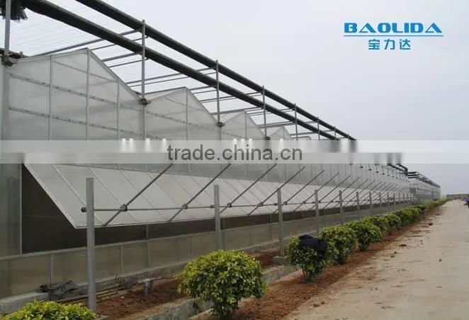Hot Sale Agriculture Used PCsheet Greenhouse commercial used