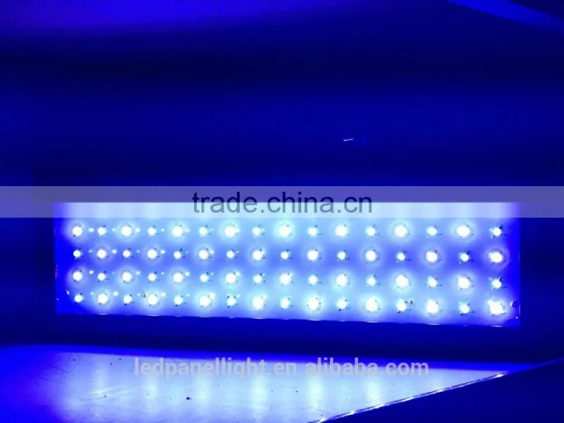 Attractive fish aquarium led light 864w help the fish more healthy growth
