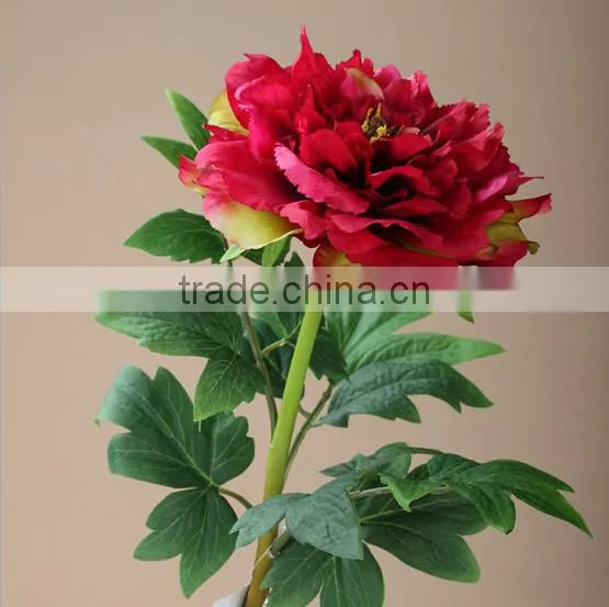 Wholesale Artificial FlowerThe stars bract