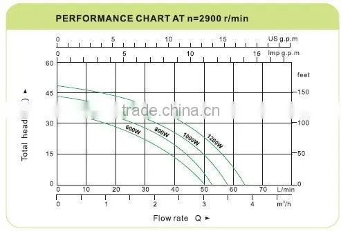 Stainless Steel body Electric Automatic Garden Pump