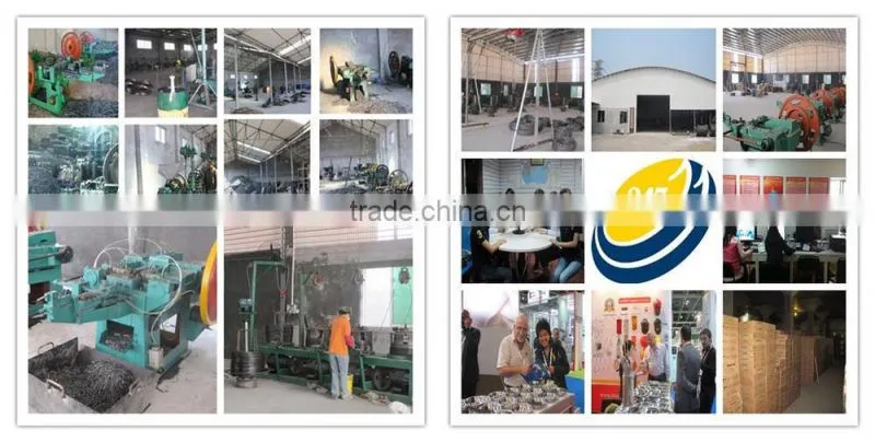 Blue shoe tacks nails(Guangzhou Factory)
