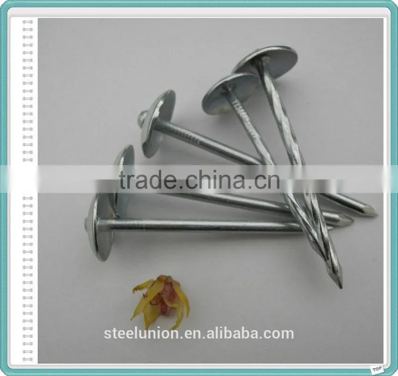 BWG9X2.5" Umbrella Head Roofing Nail Factory