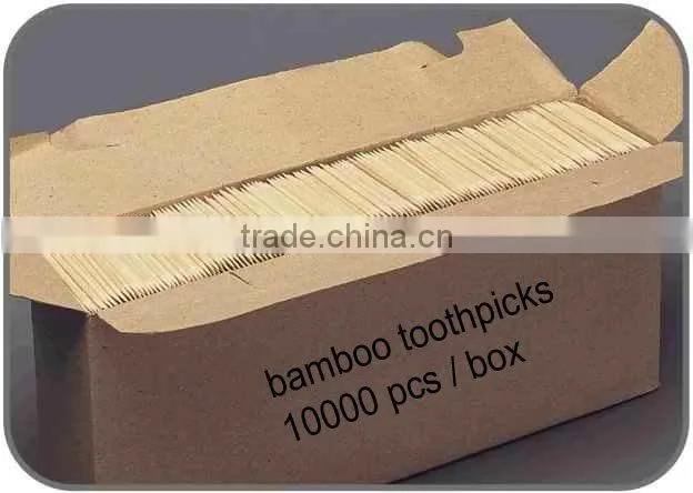 small fruit toothpicks