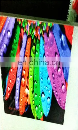 Outdoor and Indoor High Resolution Solvent Recycled Plastic Printer