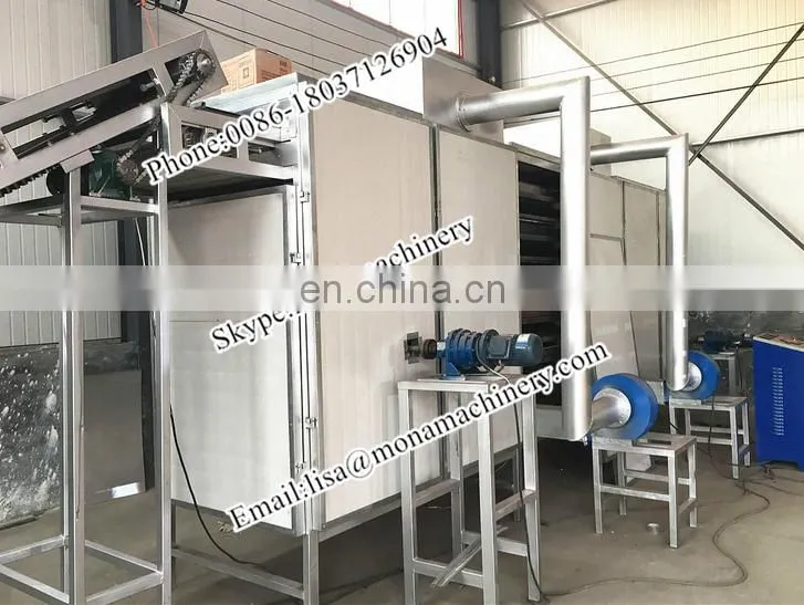 Prunes Multiple layer continuous type mesh belt dryer