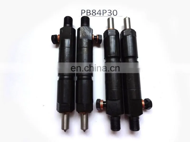 YTO Dongfanghong Engine Parts Injector Assembly PB84P30