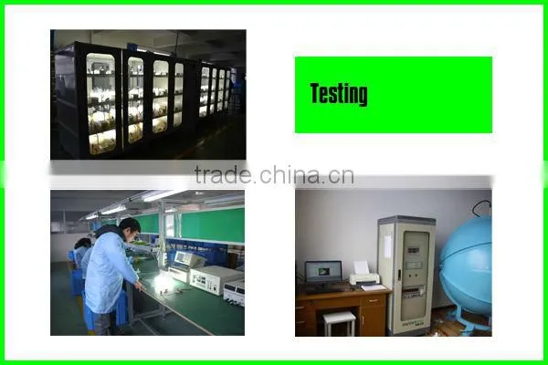 HB-RD201B 200w 250w low frequency induction street lighting