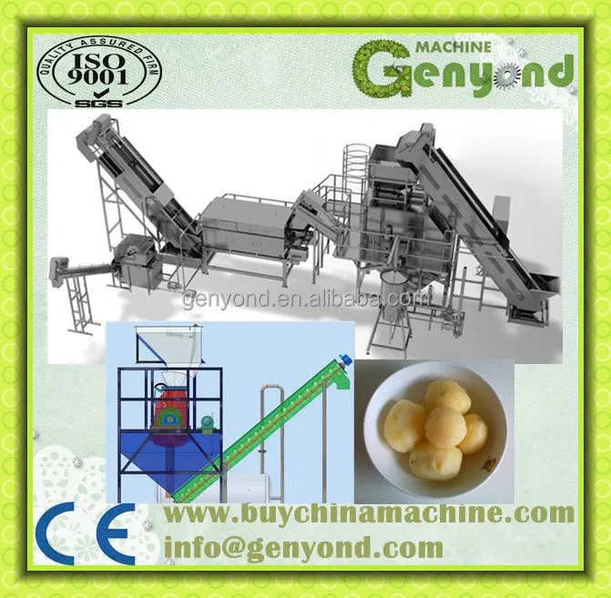 Factory Genyond Sweet Potato/ Onion/walnut/ Carrot Brush Washer Washing Machine Peeling Cleaning Machine
