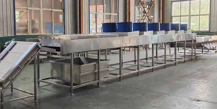 Crawfish Washing Machine Complete Sets of Crawfish Cleaning Cooking Processing Equipment Crawfish Production Line