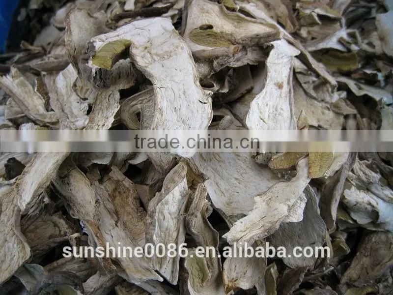 High Quality High Quality Dried Boletus Mushroom in Yunnan