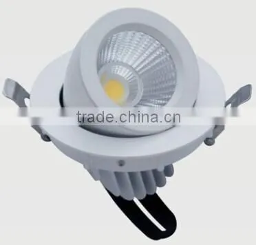 Ronse 20W led cob trunk down light rotable CE ROHS high quality(RS-F401C)