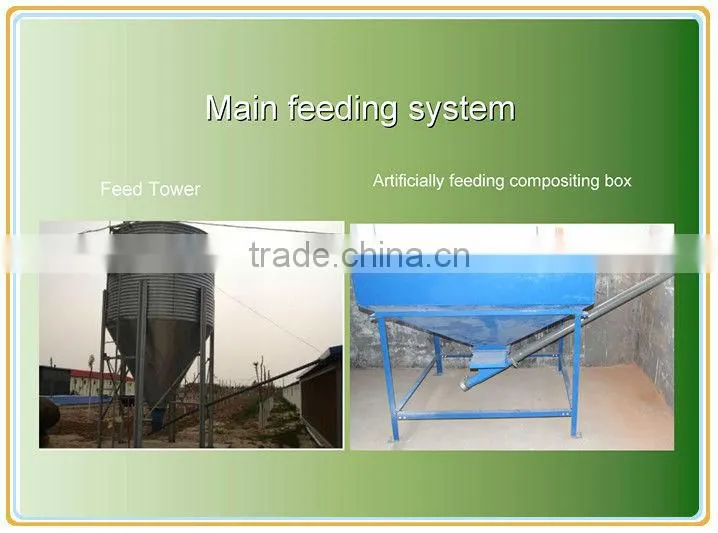chicken poultry farm equipment