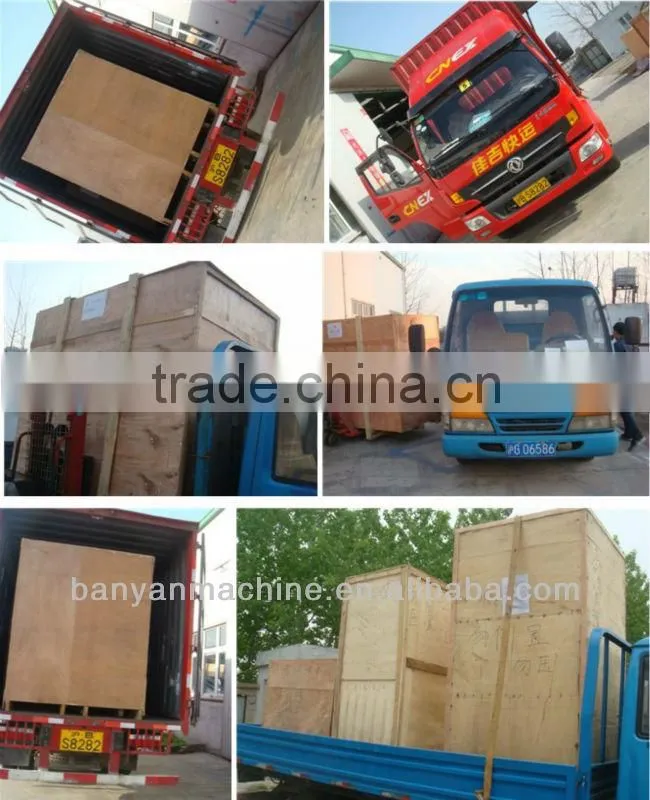 YB-1 Bag Given Seeds, Legume Weighing and Filling Machine /0086-13611835825
