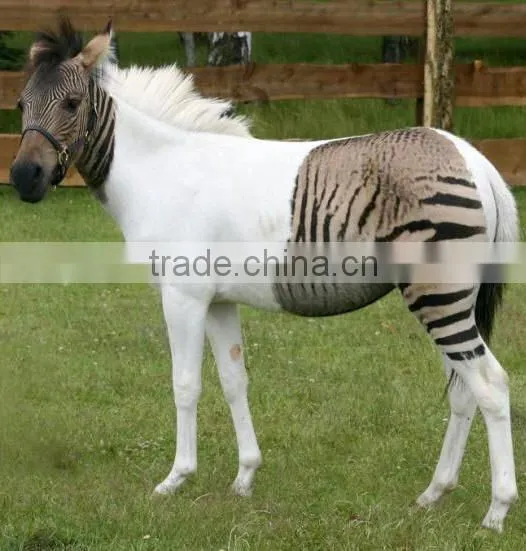 4 meters long life size animatronic robot realistic animal horse