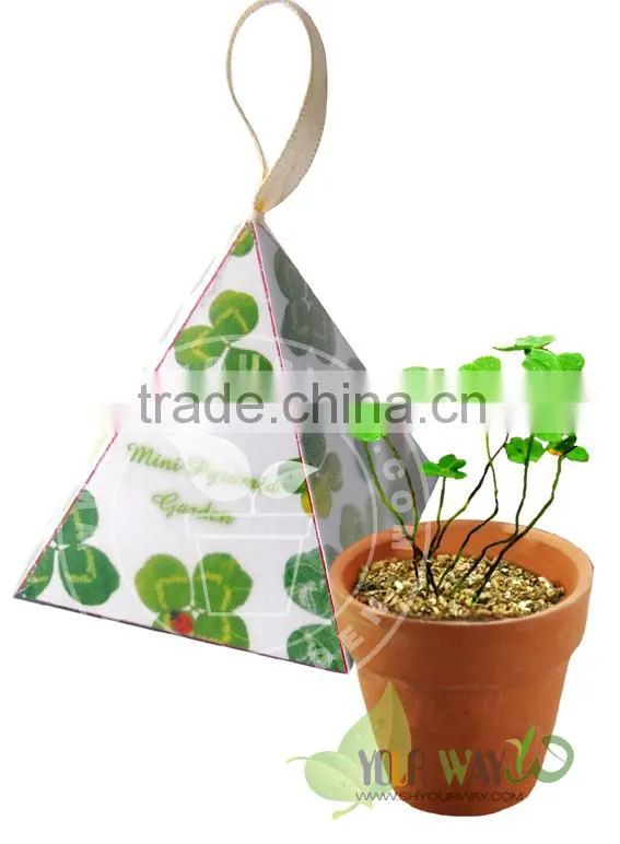 Mini Pyramid Garden, Flower Garden,lavender