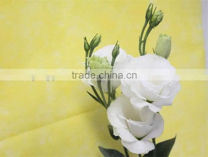 Best selling high quality fresh euatomas