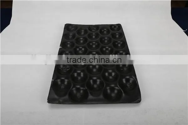 PS Plastic Fruit Tray