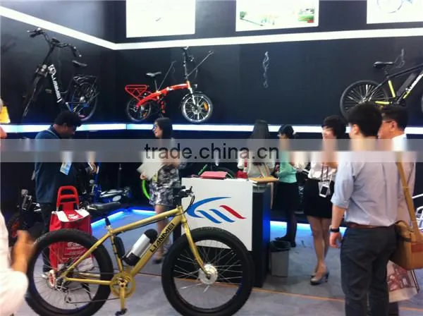 2015 Electric City Bike 250w LMTDF-19L