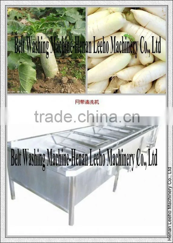 automatic belt turnip washing machine 0086 15333820631