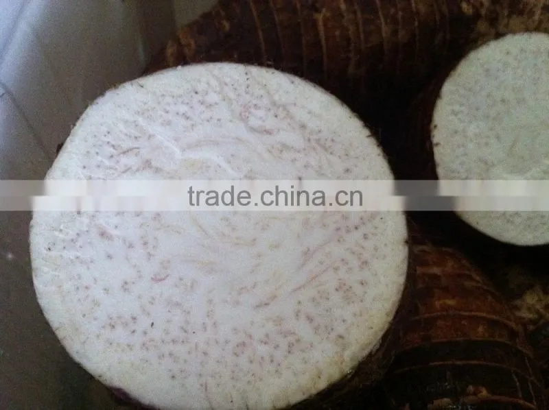 Fresh Chinese Taro for sale