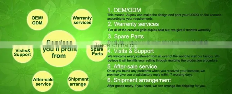 China manufacturer OEM 6 burner gas grill