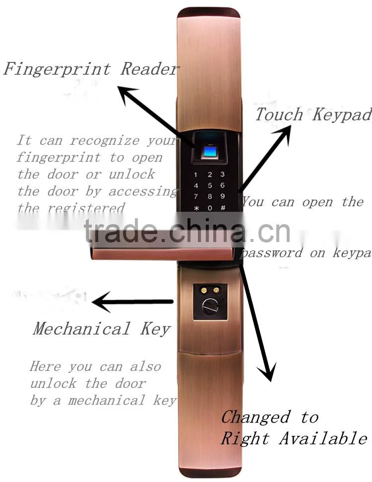 2016 Convenient Keypad Fingerprint Door Magnetic Lock China
