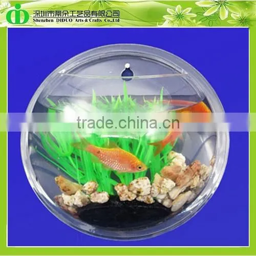 DDT-0069 Trade Assurance Aquarium Fish Price