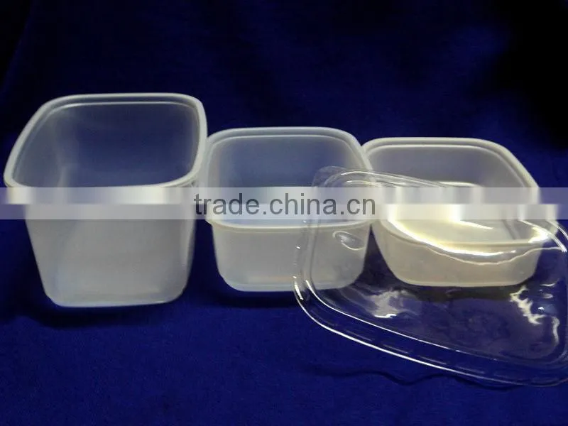 Disposable Plastic food container with lid