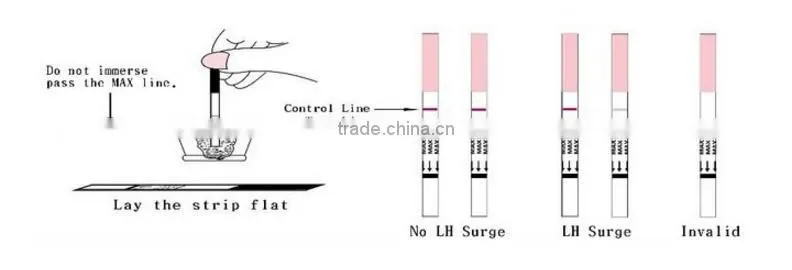 pregnancy (hcg) rapid test midstream home