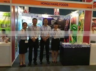 Penglai Hongchang Foods Co., Ltd. company overview - view 2