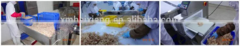 Wholesale dried smoked squid