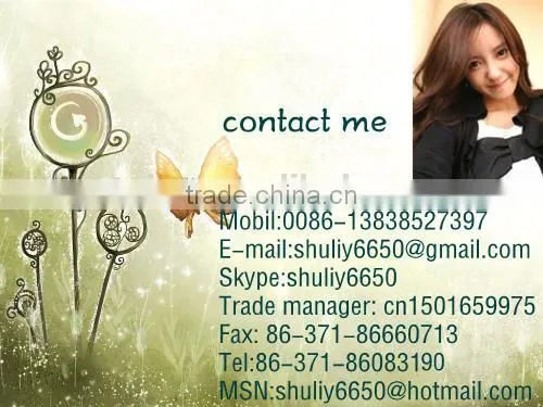 Best selling hazelnut shelling machine,hazelnut huller,hazelnut cracking machine 008613838527397