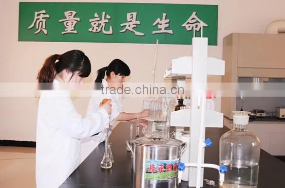 Mature sunflower pure honey in bulk or bottle packaging