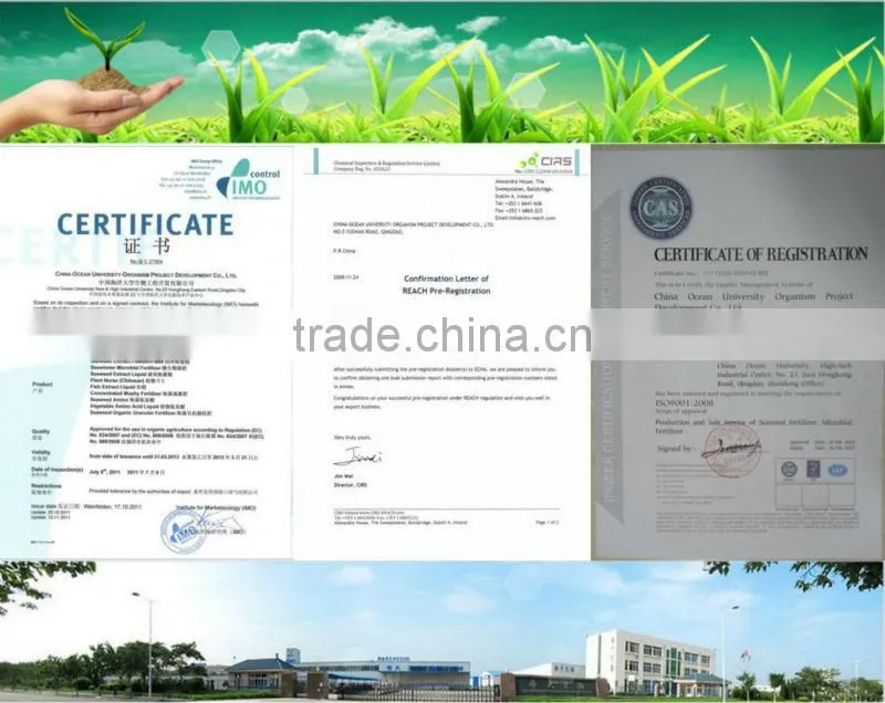 100% Water Soluble Organic Fertilizer Amino Acid Compound Powder