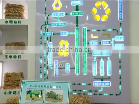 Shandong Tranlin Paper Co., Ltd. company overview - view 1