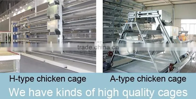 Good quality low price chicken layer cage in china
