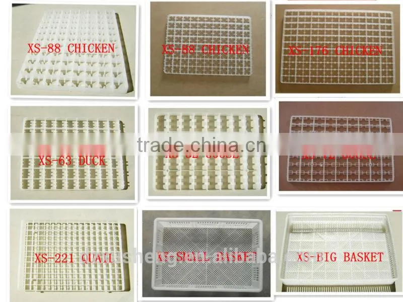 bird egg tray 88 chicken egg tray for hatching eggs