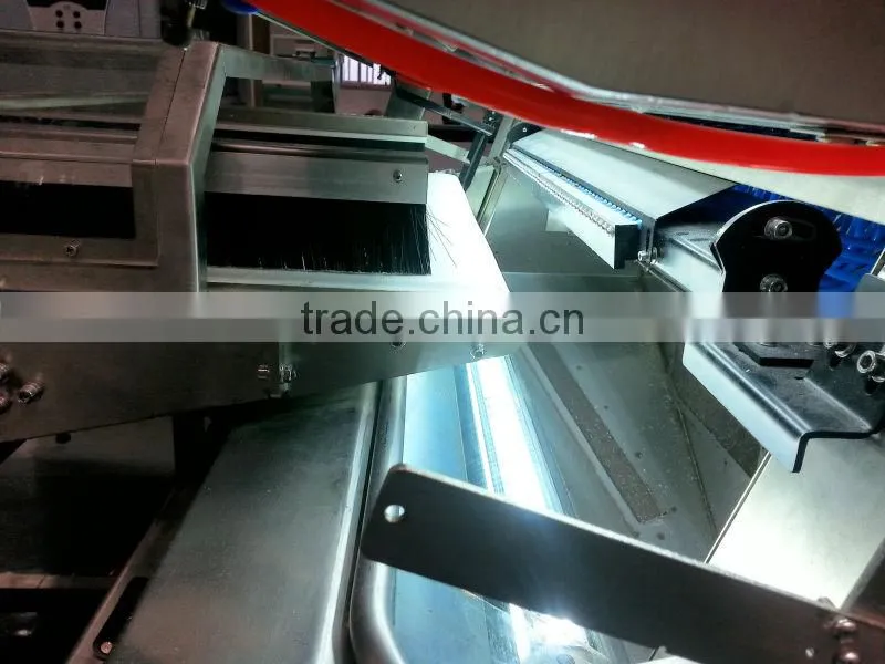 Anhui Hongshi High-Tech, Garlic CCD Color Sorter