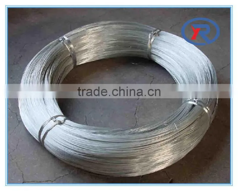 low price welded wire mesh/ galvanized welded wire mesh fence supplier