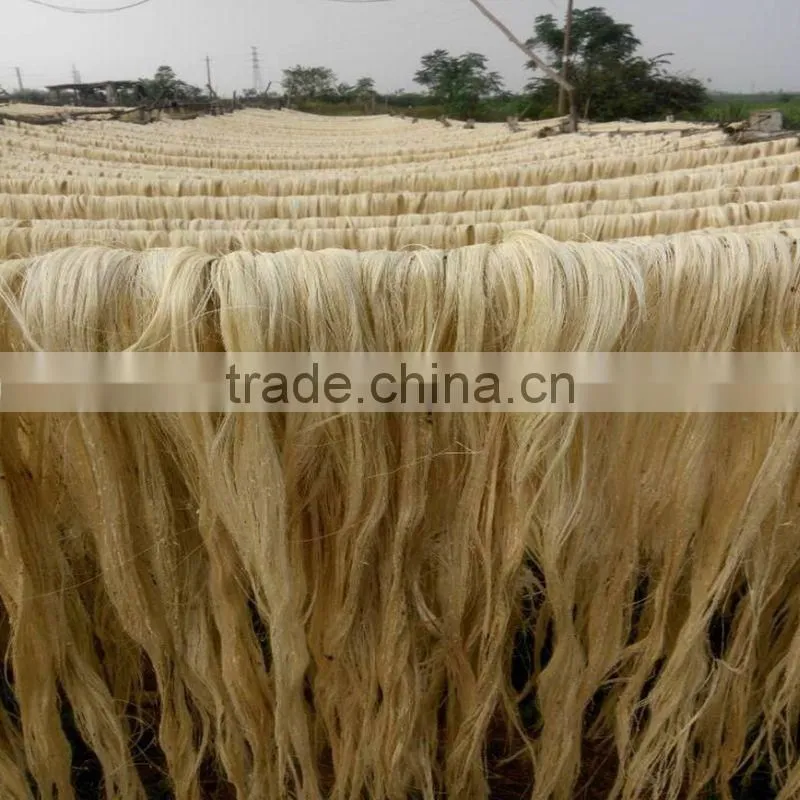 Plant fiber extraction machine