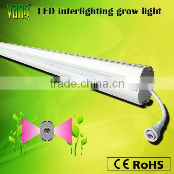 Vanq 110V double-side emitting 75W LED grow light bar horticulture