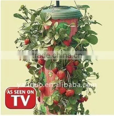 Planter,Topsy Turvy ,Hot Pepper Planter