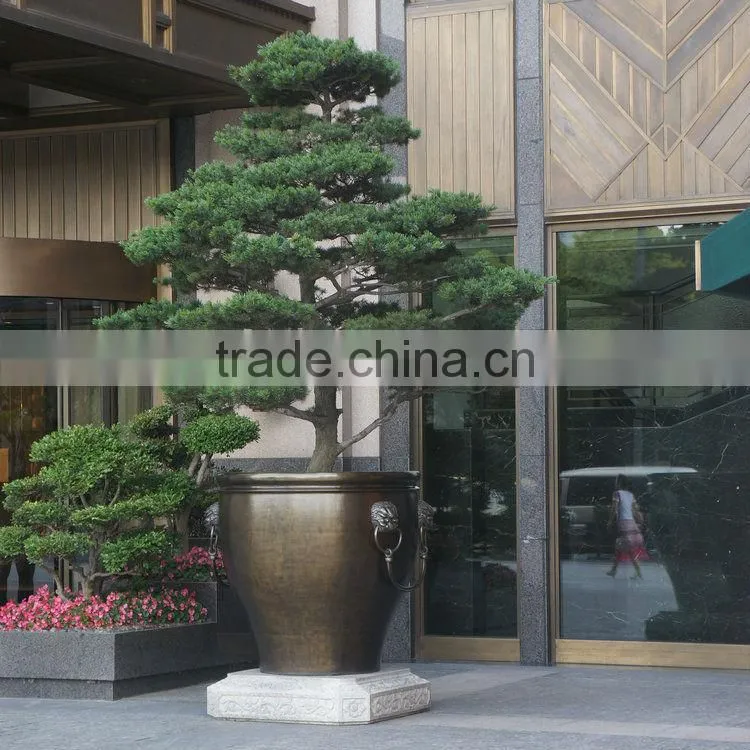 Large fiberglass planter