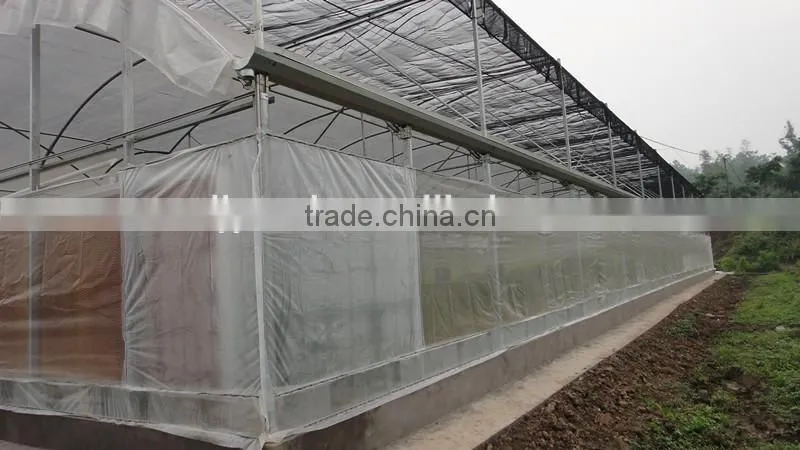 200 Micro UV Film Greenhouse With Cooling Pad And Fan