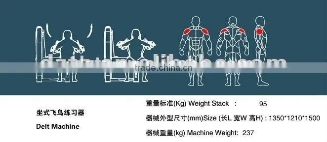 Selling gym equipment /best price/ TZ-6010 Delt machine