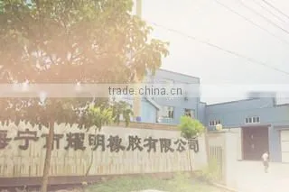 Haining Yaoming Rubber Corporation Ltd. company overview - view 1