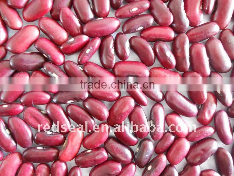 Dark red kidney beans for sale