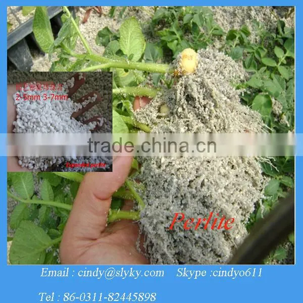 agricultural perlite price