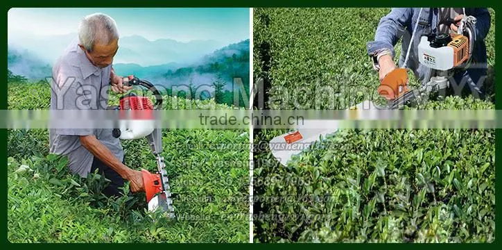 Mini Tea Leaf Trimmer for Sale
